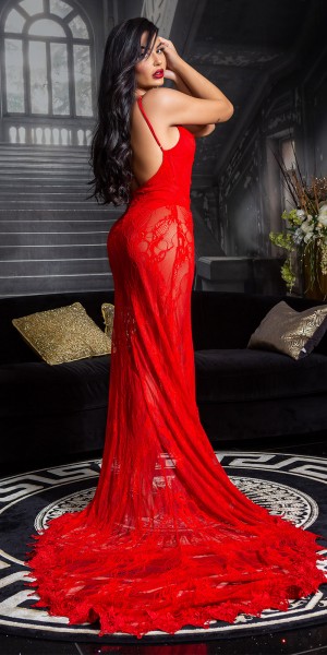 Soo Seductive! Red Carpet Gala Kleid mit Stickerei